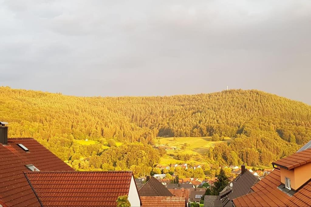 זילבך Ferienwohnung Talblick Im Schwarzwald מראה חיצוני תמונה