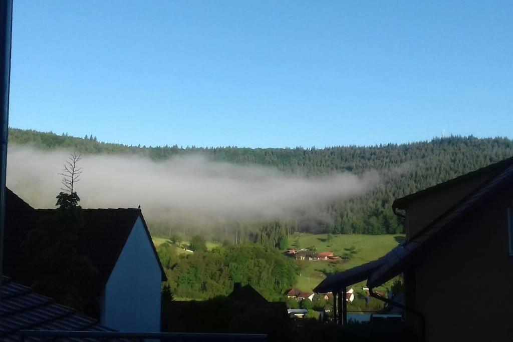 זילבך Ferienwohnung Talblick Im Schwarzwald מראה חיצוני תמונה