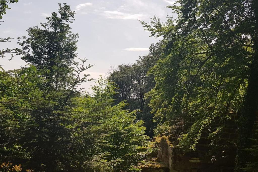זילבך Ferienwohnung Talblick Im Schwarzwald מראה חיצוני תמונה