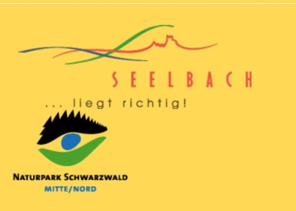 זילבך Ferienwohnung Talblick Im Schwarzwald מראה חיצוני תמונה