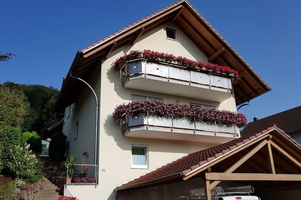 זילבך Ferienwohnung Talblick Im Schwarzwald מראה חיצוני תמונה