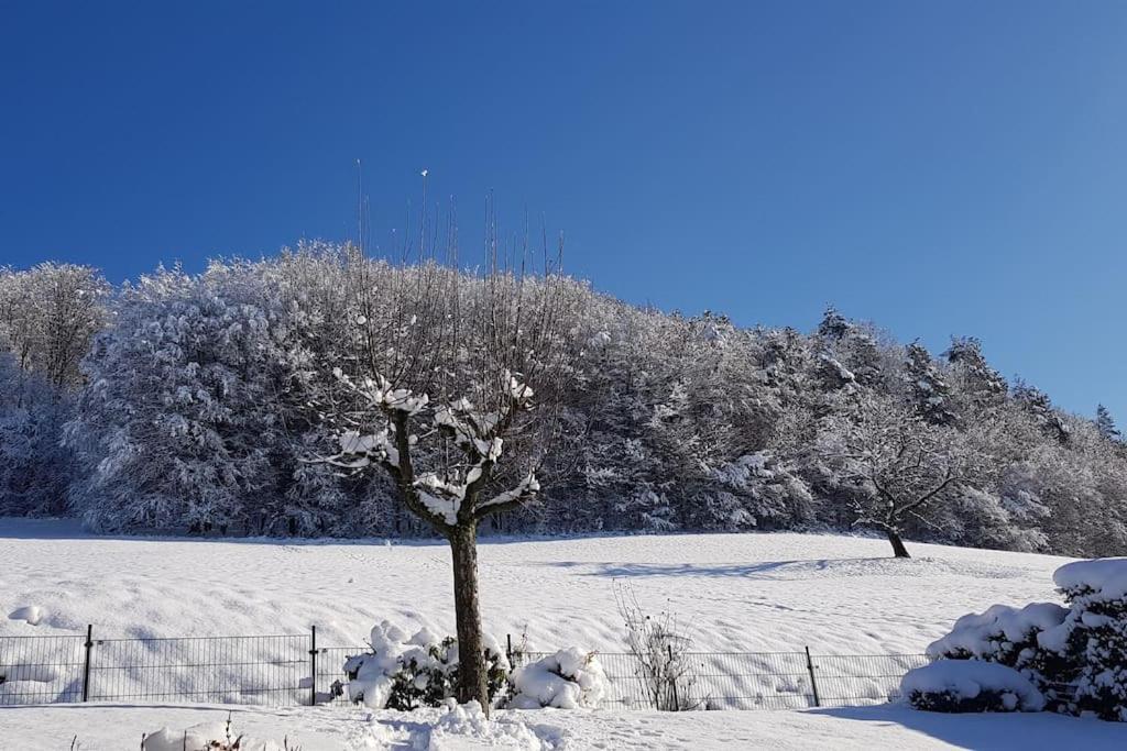 זילבך Ferienwohnung Talblick Im Schwarzwald מראה חיצוני תמונה